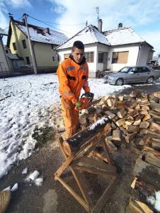 LOZNICA - Seča ogrevnog drveta.jpg