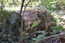 Dvorac baba pusta (41).JPG