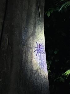 0801privatna arhiva (4).jpg