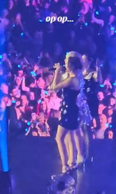 Lepa Brena puštena iz bolnice