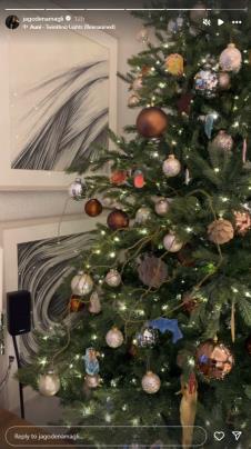 jelisvaeta orašanin jelka (6).png