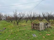 WhatsApp Image 2024-12-13 at 18.50.12_40055135.jpg