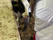 WhatsApp Image 2024-12-13 at 18.50.12_b43dfff4.jpg