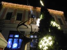 LOZNICA - Jelen pored jelke.JPG