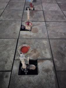 WhatsApp Image 2024-12-22 at 8.11.19 PM.jpeg