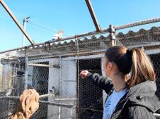 srdjana i golub kog je izlecila.jpg