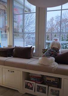 2024-12-24 14_44_51-Приче • Instagram.jpg