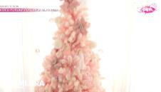 Novogodišnja jelka Stanije Dobrojević