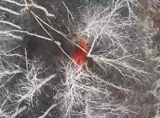 Screenshot 2024-12-30 083447.png