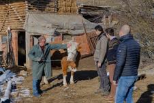 Bozicni konvoj 5.jpg