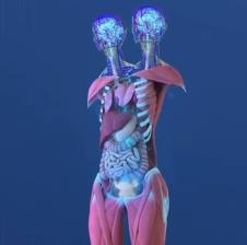 Anatomija tela britani i abi hensel foto tik tok (3).png