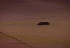 Screenshot 2025-01-04 074210.png