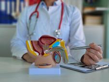 krupan kadar prikaza prostate doktor olovkom pokazuje u pravcu makete