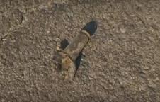 Screenshot 2025-01-10 075119.png