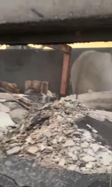 izgorela vila paris hilton u malibuu 2.png