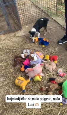 Screenshot 2025-01-12 172257.png