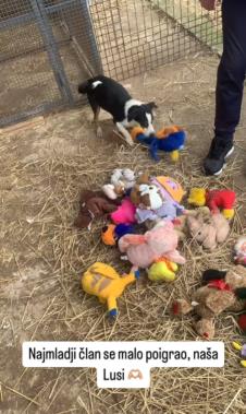 Screenshot 2025-01-12 172223.png