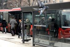 GSP, gradski saobracaj, autobus, foto Jakov Milosevic (1).JPG