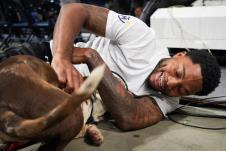 Copy of ELE09738.jpg