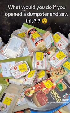 Sofi Đuel-Anderson se hrani u kontejeneru frižidr (4).png