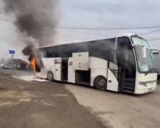 bus.jpg