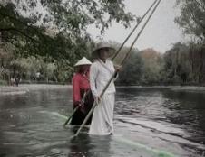 plutanje na bambusu.jpg