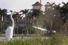 Mar-a-Lago je luksuzno odmaralište Donalda Trampa profimedia-0934368825.jpg