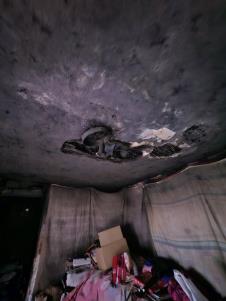 0801 foto marko nikolic (1).jpg