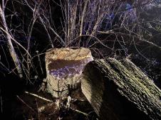 WhatsApp Image 2025-01-26 at 9.42.12 PM.jpeg