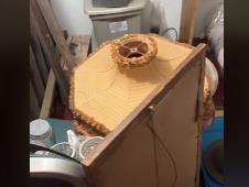 Mladi par pronašao tajnu prostoriju sa vrednim stvarima 4.jpg