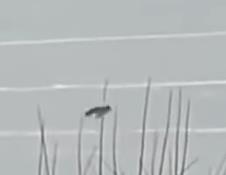 Screenshot 2025-01-29 122603.png