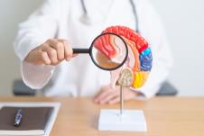 doktor sa anatomskim modelom mozga