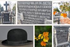 KOLAZ PROFESOR KOSTA VUJIC.jpg