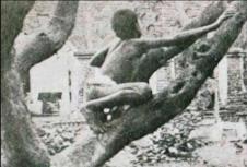 Screenshot 2025-01-31 131918.jpg