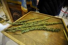 0801 marko karovic_34.jpg