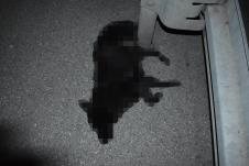 IMG-20250208-WA0000 copy.jpg