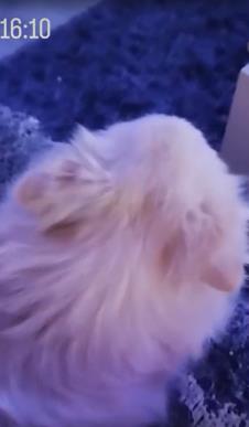 Screenshot 2025-02-08 212320.png