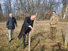 Princ Filip orezao lozu na Oplencu na Svetog Trifuna