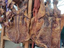 Prsutijada 2025 1.jpg