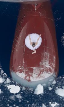 viktorija dobervil 2.png