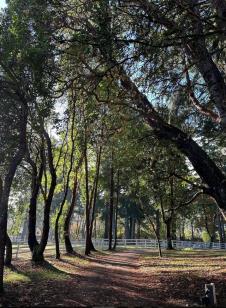 Screenshot 2025-02-21 090217.png