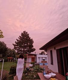 Sloboda Mićalović 3.png