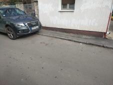 IMG-20250225-WA0043.jpg