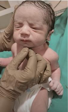 Snimak tek rođene bebe oduševio svet 5.png