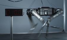 Black Panther 005.jpg