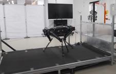 Black Panther 004.jpg