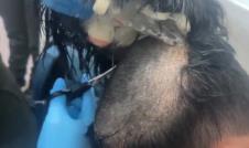 Screenshot 2025-02-25 195256.png