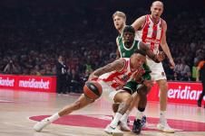 WhatsApp Image 2025-02-27 at 9.02.11 PM.jpeg