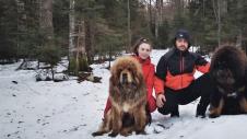 1740739702_kraljevo-tibetski-mastifi-foto-privatna-arhiva2.jpg