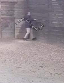 Screenshot 2025-03-01 093440.png